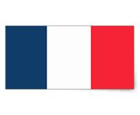 Afbeeldingsresultaat voor franse vlag